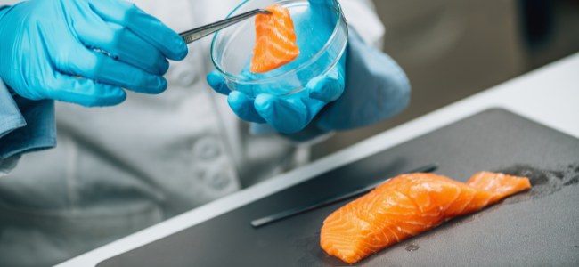 Científico realizando pruebas de calidad en una muestra de salmón, como parte del control de pH en la industria alimentaria